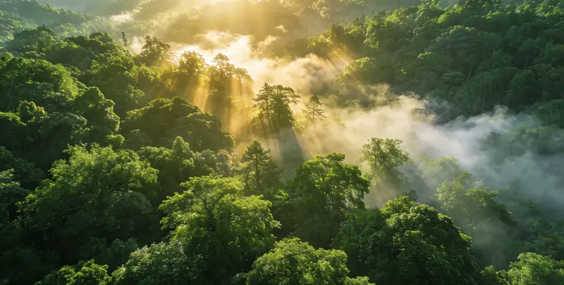 吉安肺癌（EGFR T790M)突变检测图片1