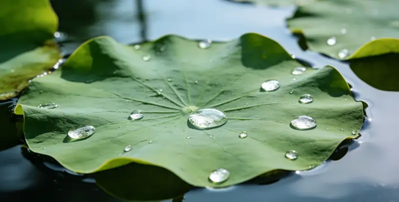 吉安乳腺癌21基因mRNA表达分析图片1