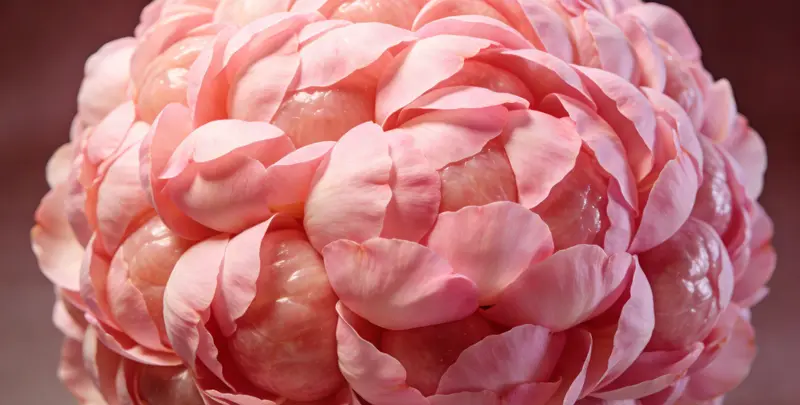 吉安BRCA1/2乳腺癌卵巢癌基因检测图片1